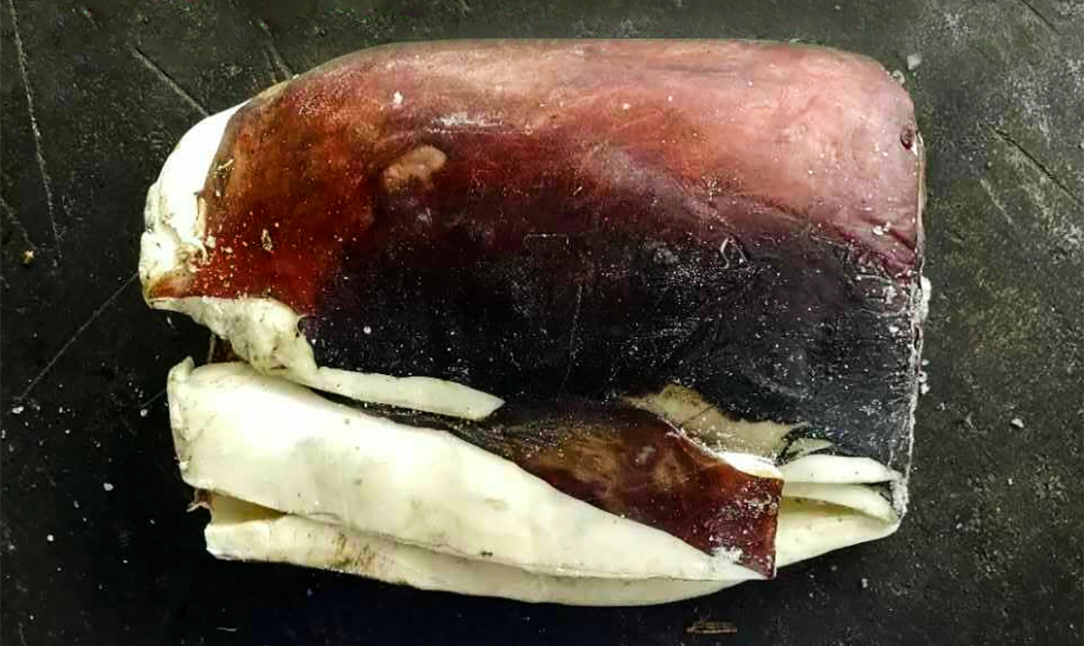 Giant Squid Skin On Fillet